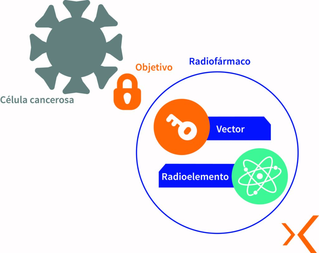 Funcionamiento Radioterapia Interna Vectorizada Lemer Pax