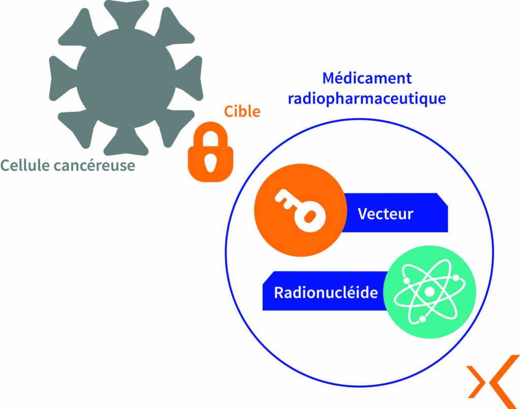 Principe de fonctionnement de Radiothérapie Interne Vectorisée