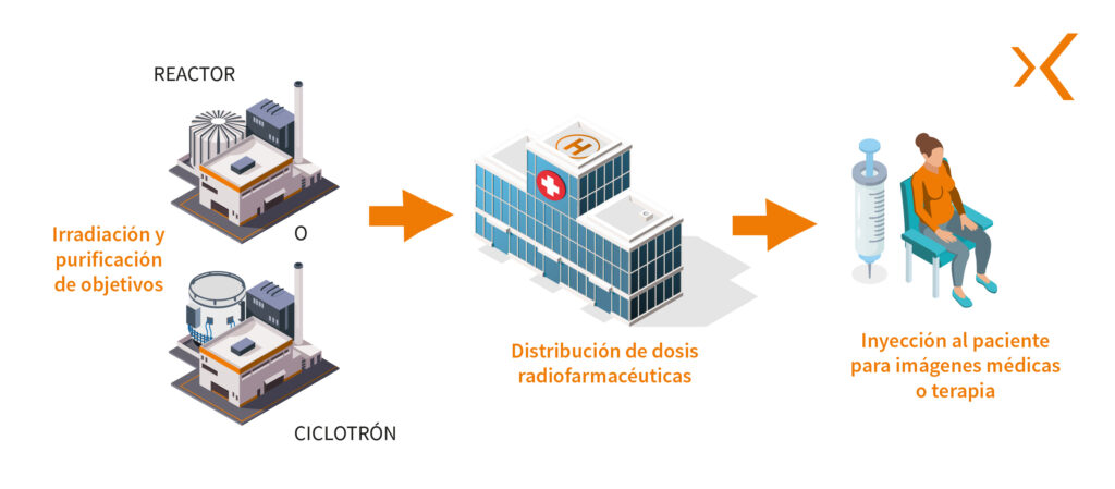 Ciclo de vida del radiofármaco